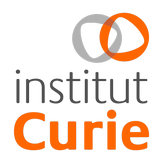 Institut Curie